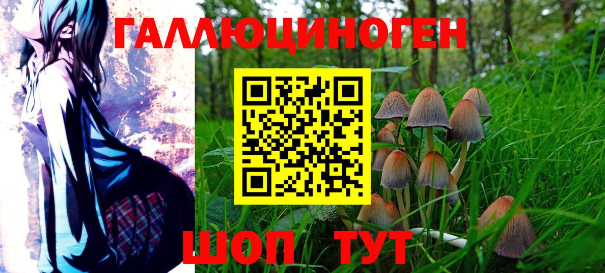 Галлюциногенные грибы Psilocybe  Вход с VPN  Лянтор 