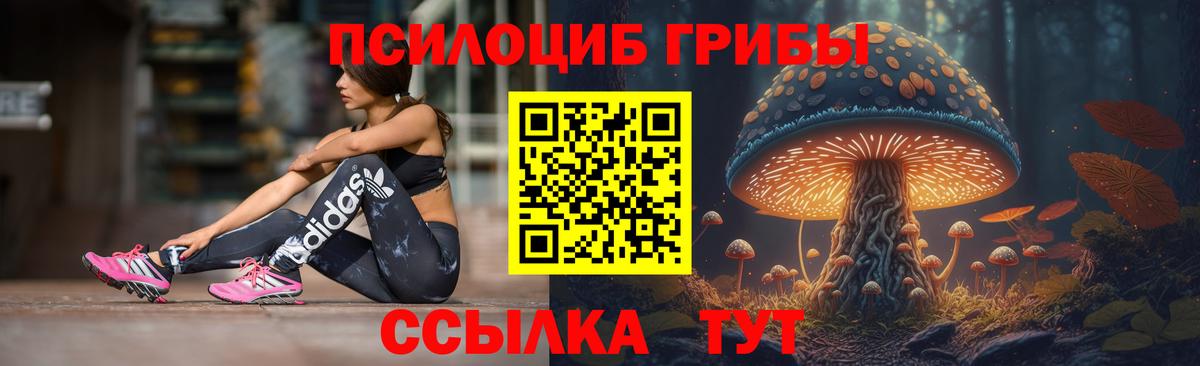Псилоцибиновые грибы GOLDEN TEACHER Лянтор